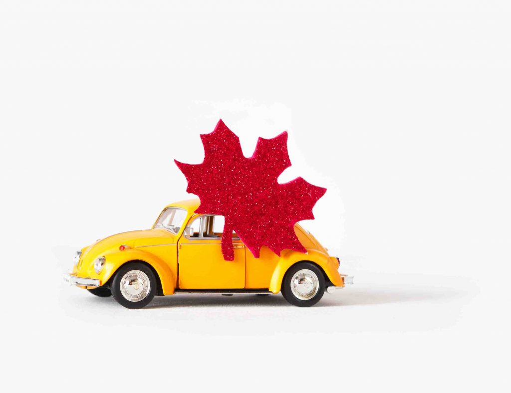 Canada Flag with yellow bug