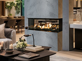 Genesis Orion Gas Fireplace See-through