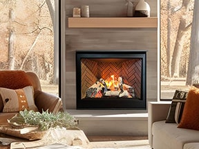 Savannah Vision 42 gas fireplace