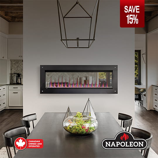 Electric Napoleon promo